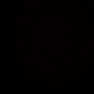 Meet your Posher, Paul